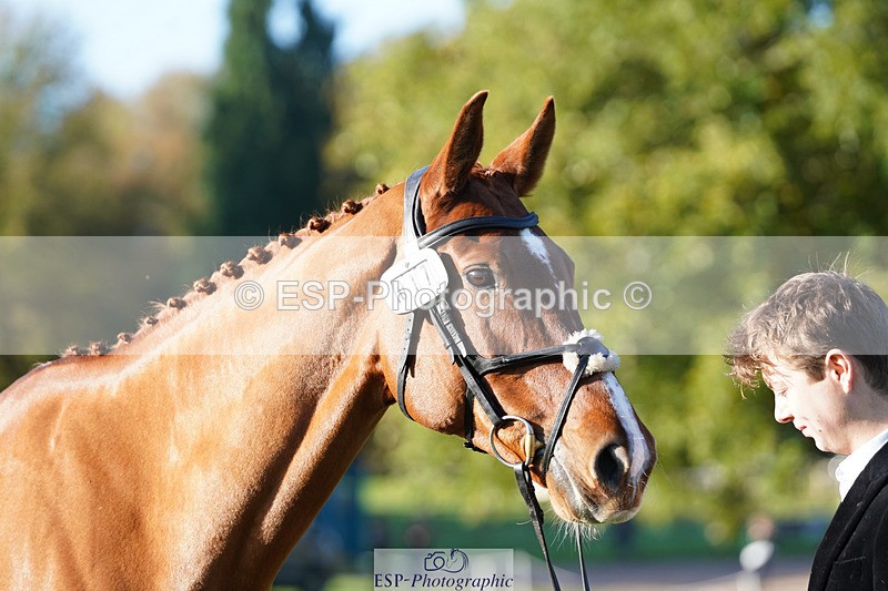 241026-101206-11682 - 017-Louis.Pern-CLASSICTOP.MISS.VIVIENNE