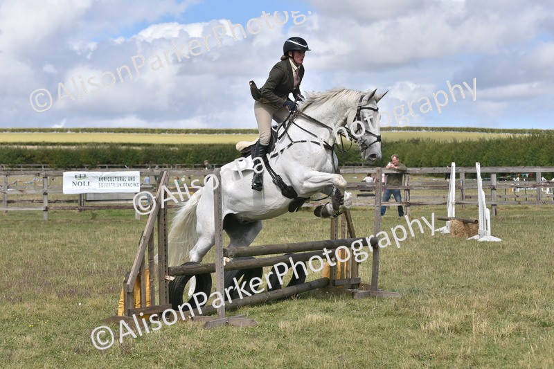 20250831-4119 - Class 13 - Working Hunter Horse or Pony