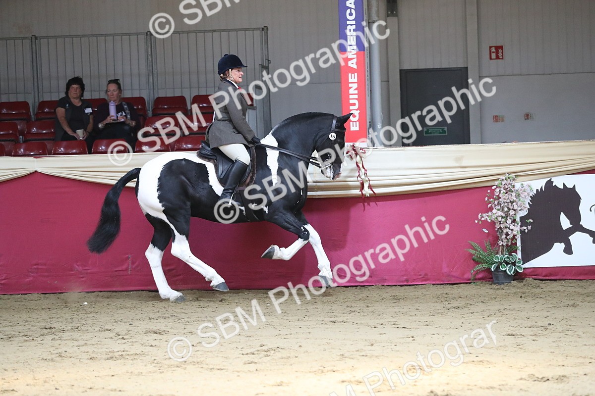 SBM_02877 - Class 6a Area Ridden Pre Vet