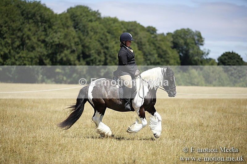 _C7A9866 - BVRC Show 2018 Ring 1