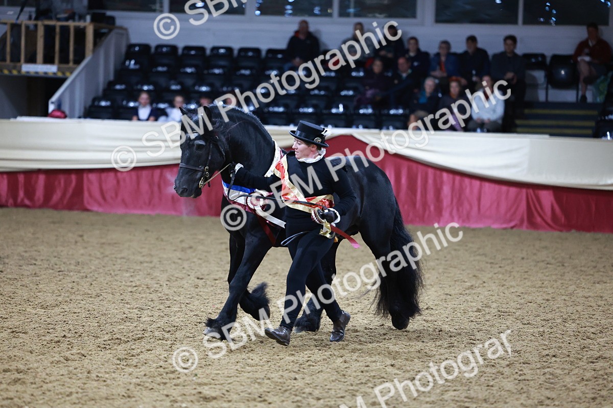 SBM_20437 - Class F - IH Small (148cm & Under)Champ