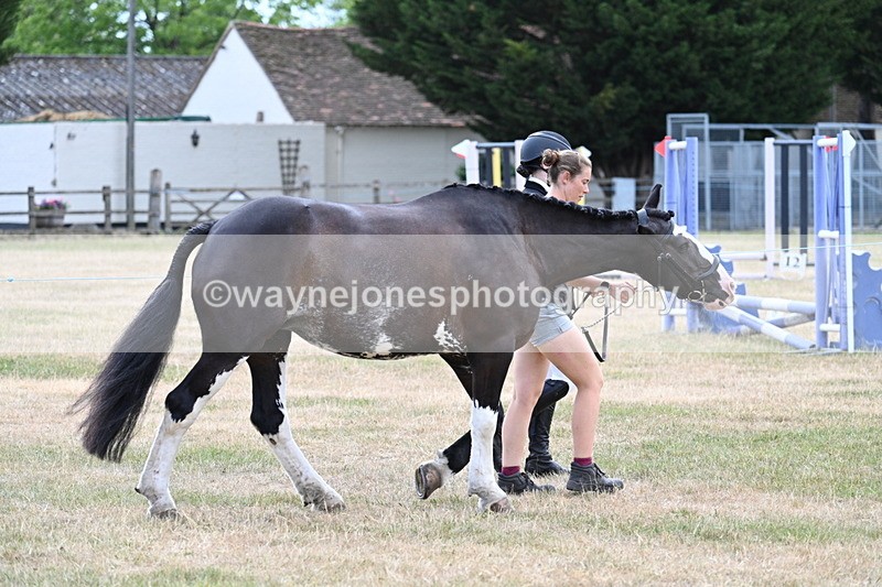 WJ7_1816 - Class 4a Prettiest Mare 14.2hh and over hand