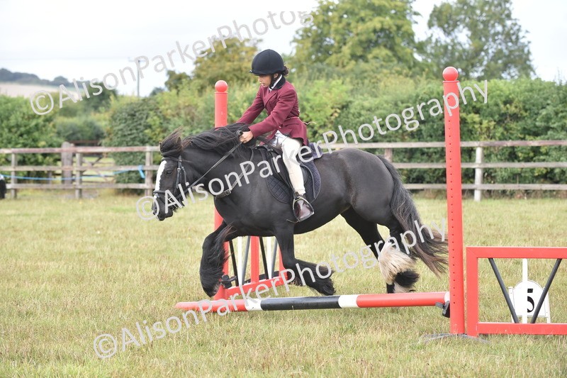 20250831-1781 - Class 8 - Hoof and Foot