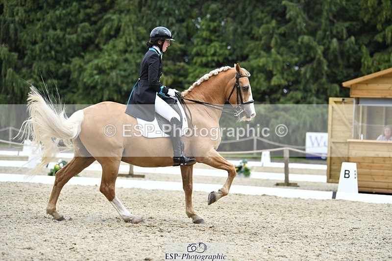 230812-142708-04698 - Cls 7 FEI PSG Bronze