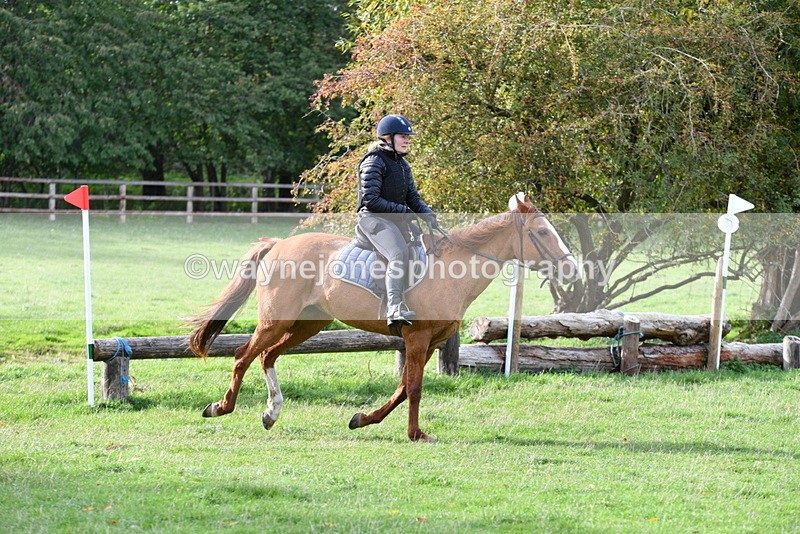 WJ5_1202 - Time 14:29 to 15:31