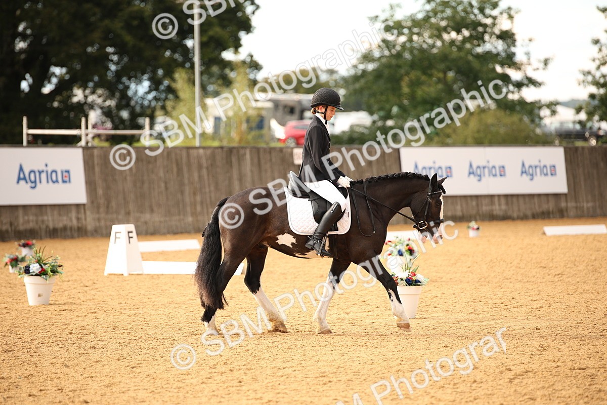 SBM_12409 - D3 Small  Tour Championship Intro A