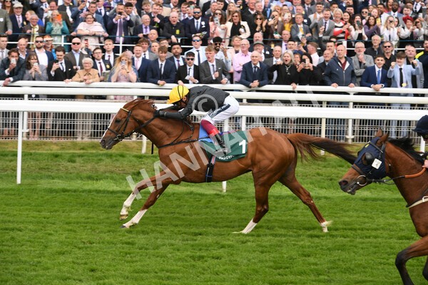 yr13052022r4-51 - Race 4 3.35pm The Paddy Power Yorkshire Cup (British Champions Series Race)