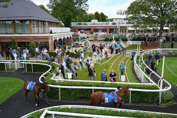 yr11062021r1-34 - Race 1 1.45pm eventmasters.co.uk British EBF Novice Stakes