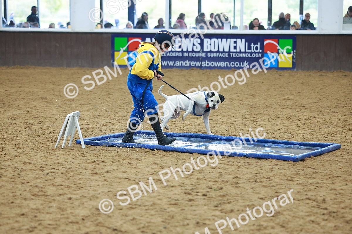 SBM_002292 - Class 3 - Horse & Hound (60cm)