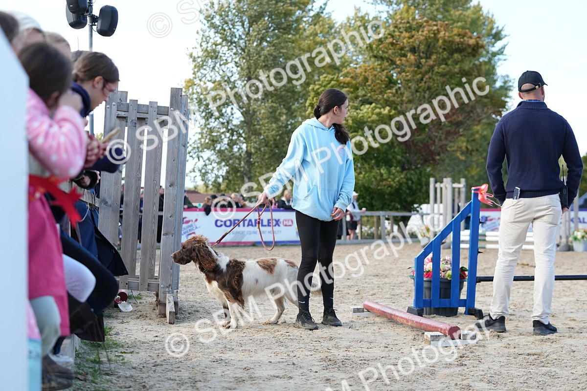 SBM_29150 - J43 - Horse & Hound Open 50cm