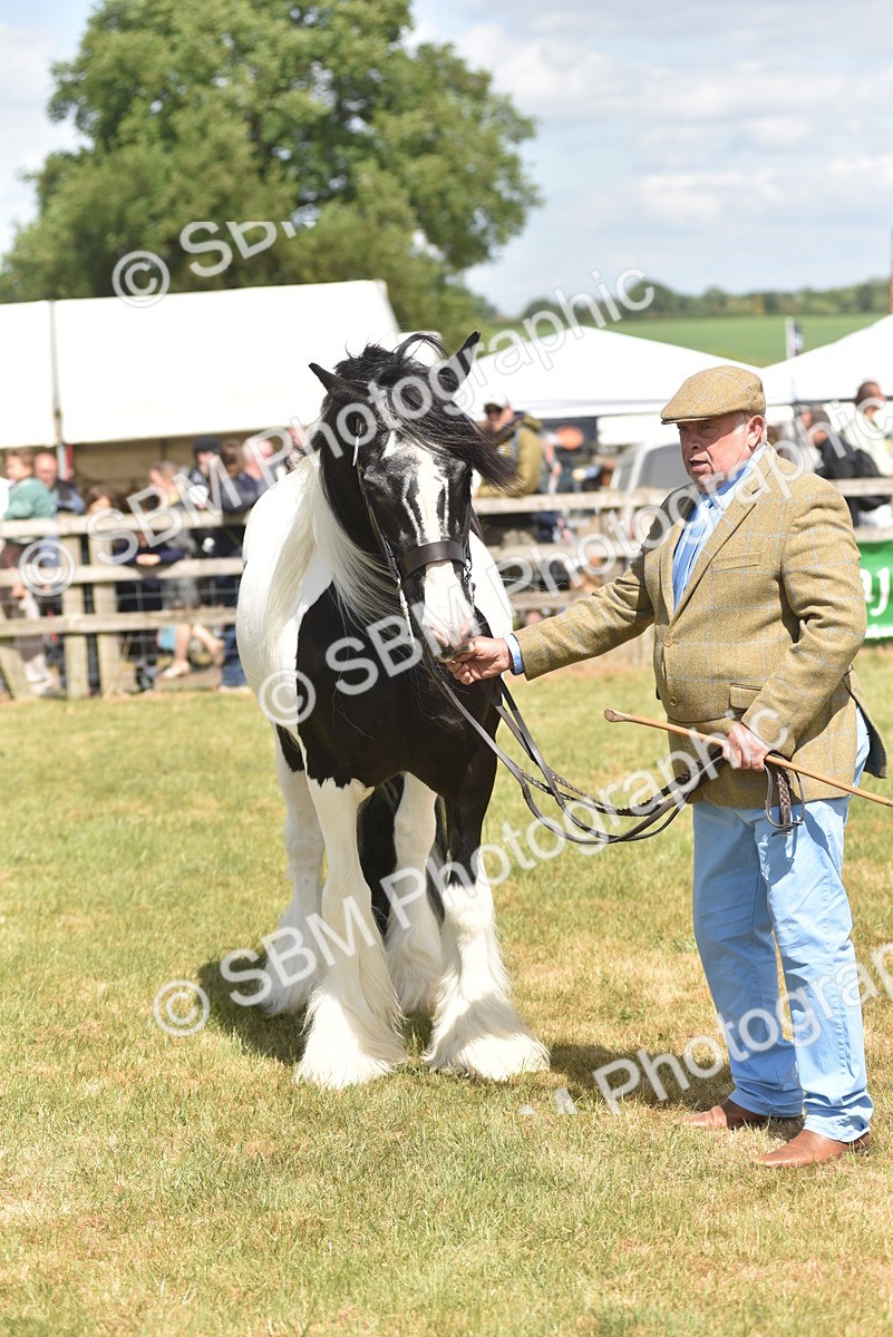 SBM_16096 - Class 117-122 - SSADL RIHS Qualifier