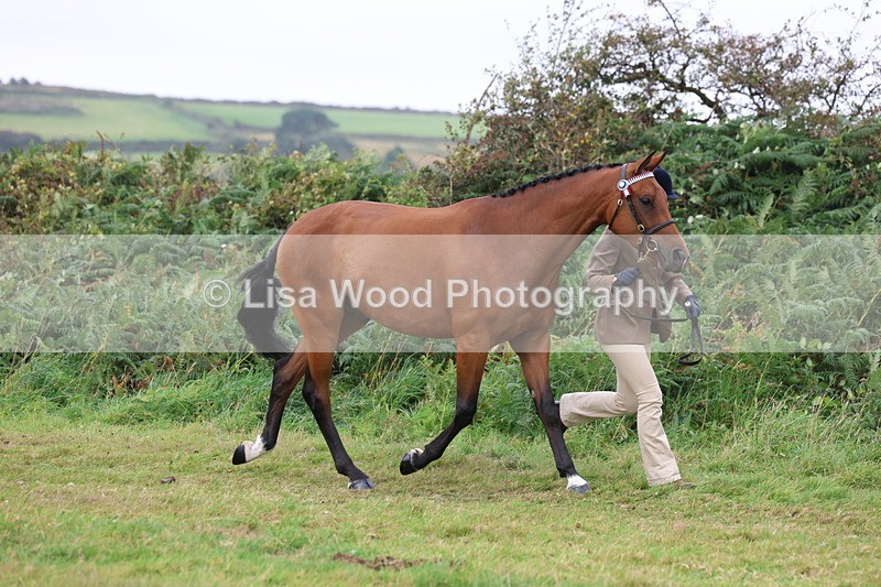 3E7A4337 - Class 15: Three Year Olds