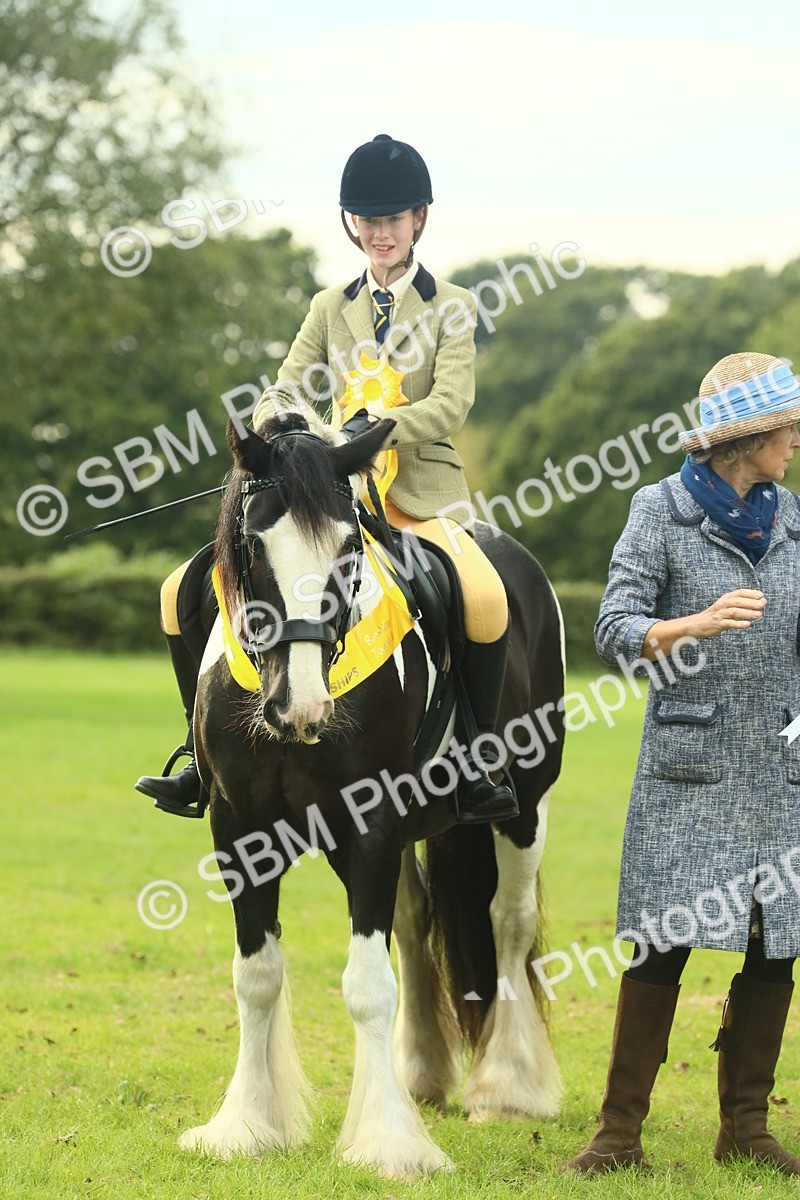 SBM_75102 - Ridden Pony Supreme Championship