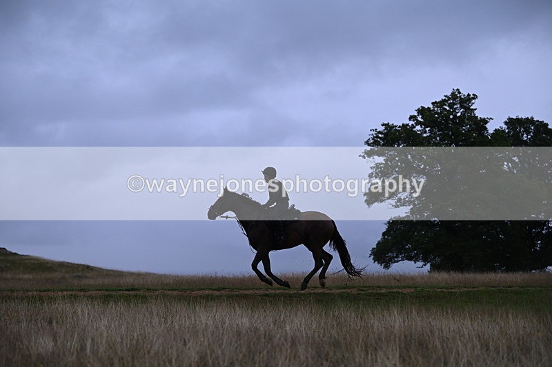 DSC_3331 - Time at Statue 13:51 to 14:55
