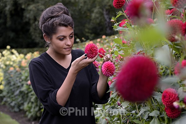 Plant Flora Fauna photographer Uk Cambridge professional photos Anglesey Abbey Garden National trust