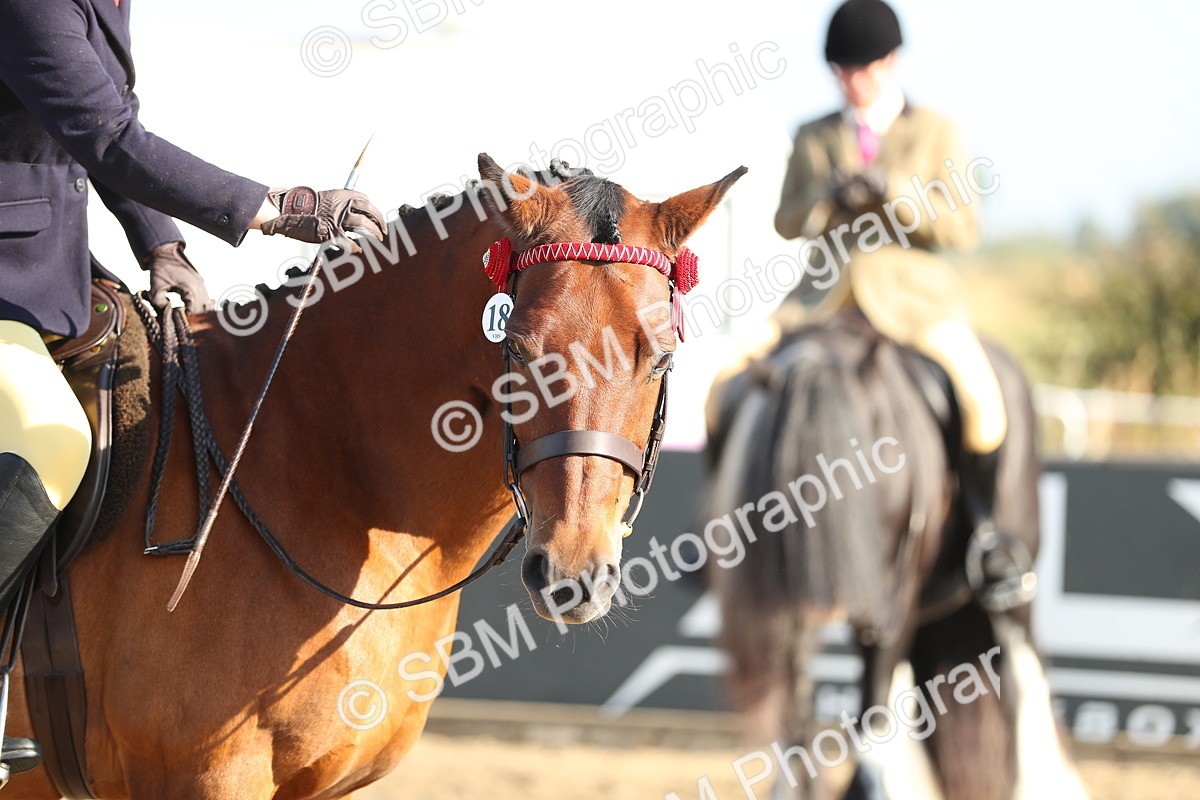 SBM_00437 - Class 41 Best Turned Out Ridden