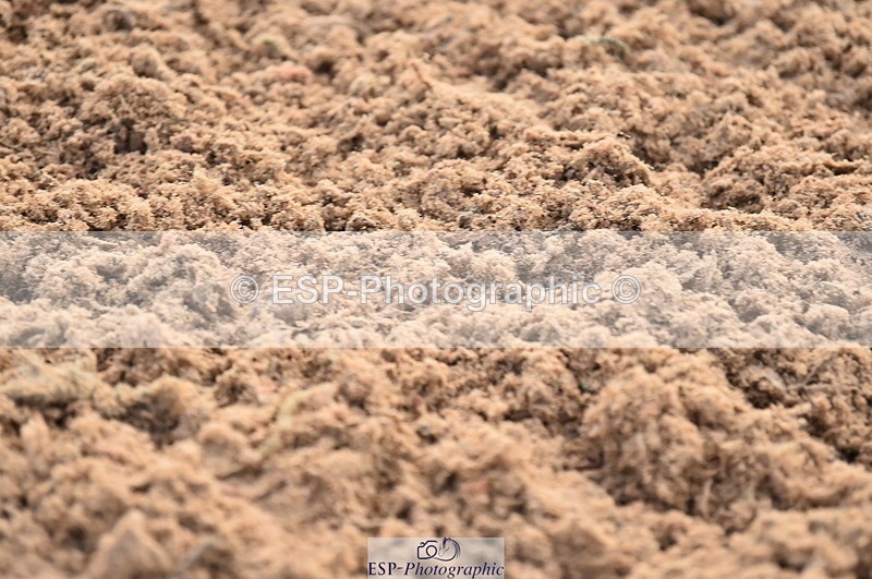 231122A-101012-00022 - Cls 1 British Novice & 90cm Open