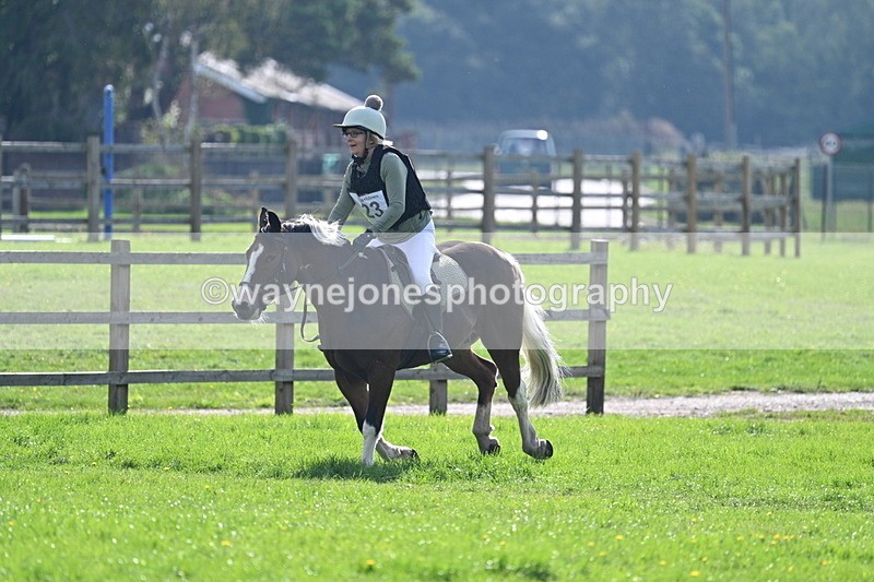 WJ7_4815 - 60cm Time 11:11 to 11:19