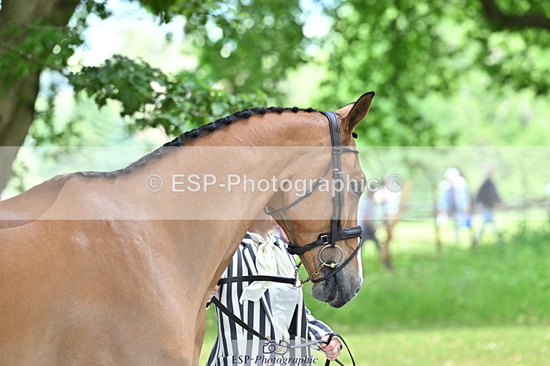 250521A-152945-00546 - B-321-Laura.Collett-BALANCERO