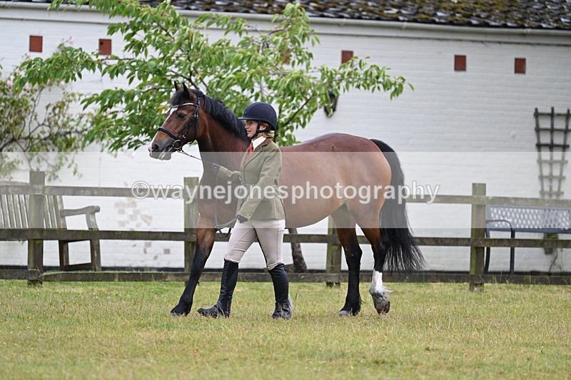 WJ7_6015 - Class 4a Prettiest Mare over 14hh