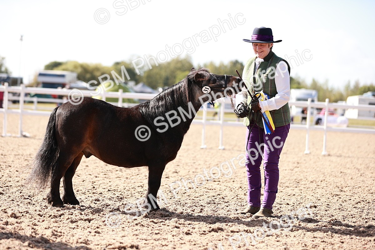 SBM_22833 - Class 705 - IH Combination 65+