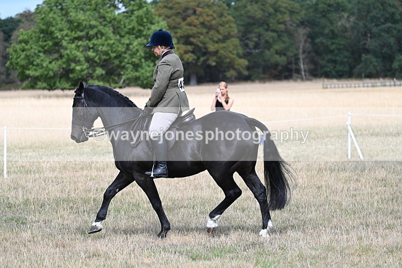 WJ7_5857 - Class 13 Ridden Veterans