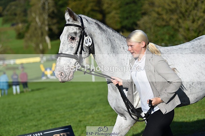 231022-100414-22224 - 474-MENELAUS-Elise.Washer-TrotUp+SJ