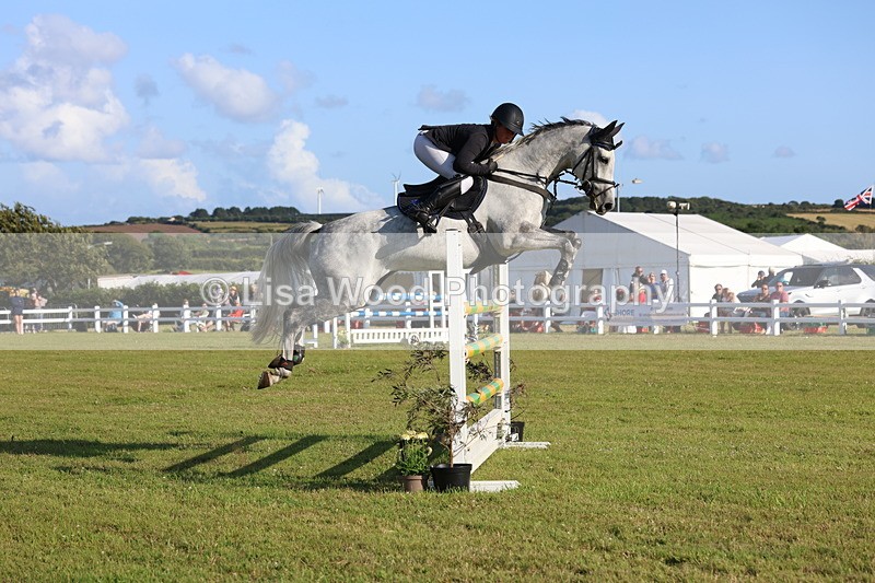 3E7A4492 - Class C: Showjumping Senior Foxhunter