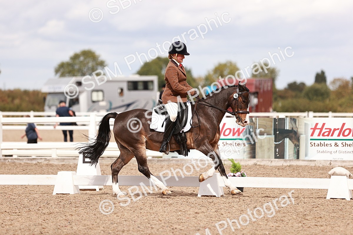 SBM_06237 - Class 37 - Novice 5