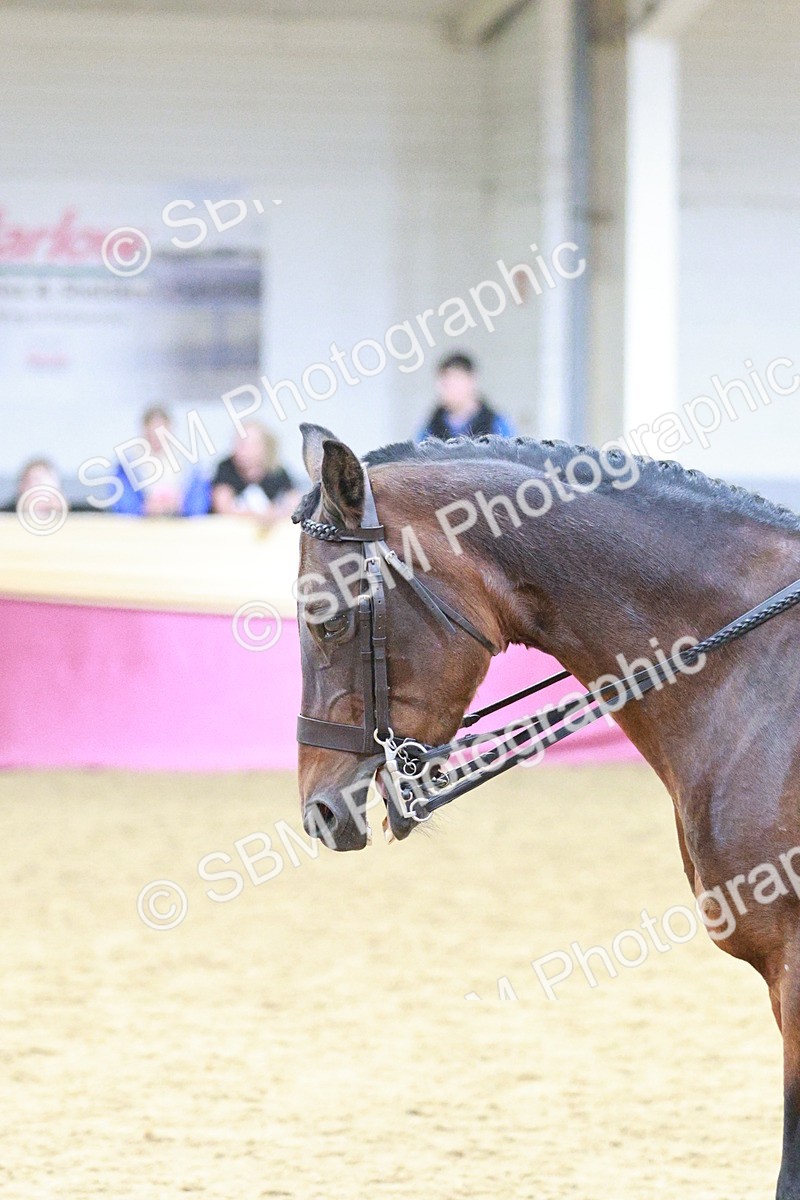 SBM_08229 - Class 11R - Regional Ridden Veteran