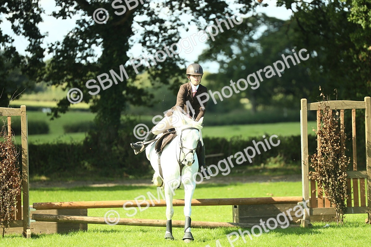 SBM_39232 - S29 - Novice & Newcomers Working Hunter Pony