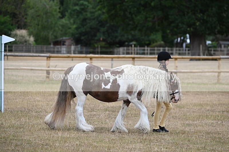 WJ6_7859 - Class 10 Coloured in Hand