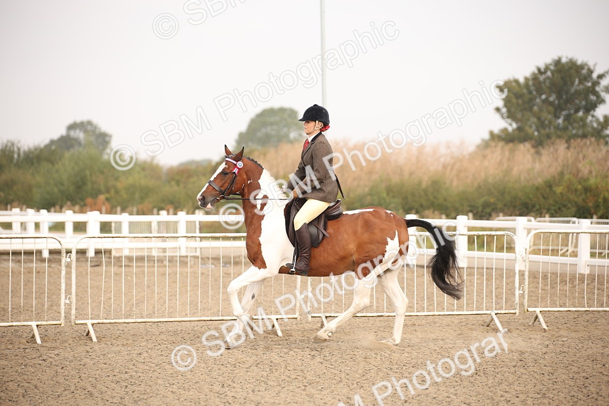 SBM_09713 - Class 401 Riding Club Pony
