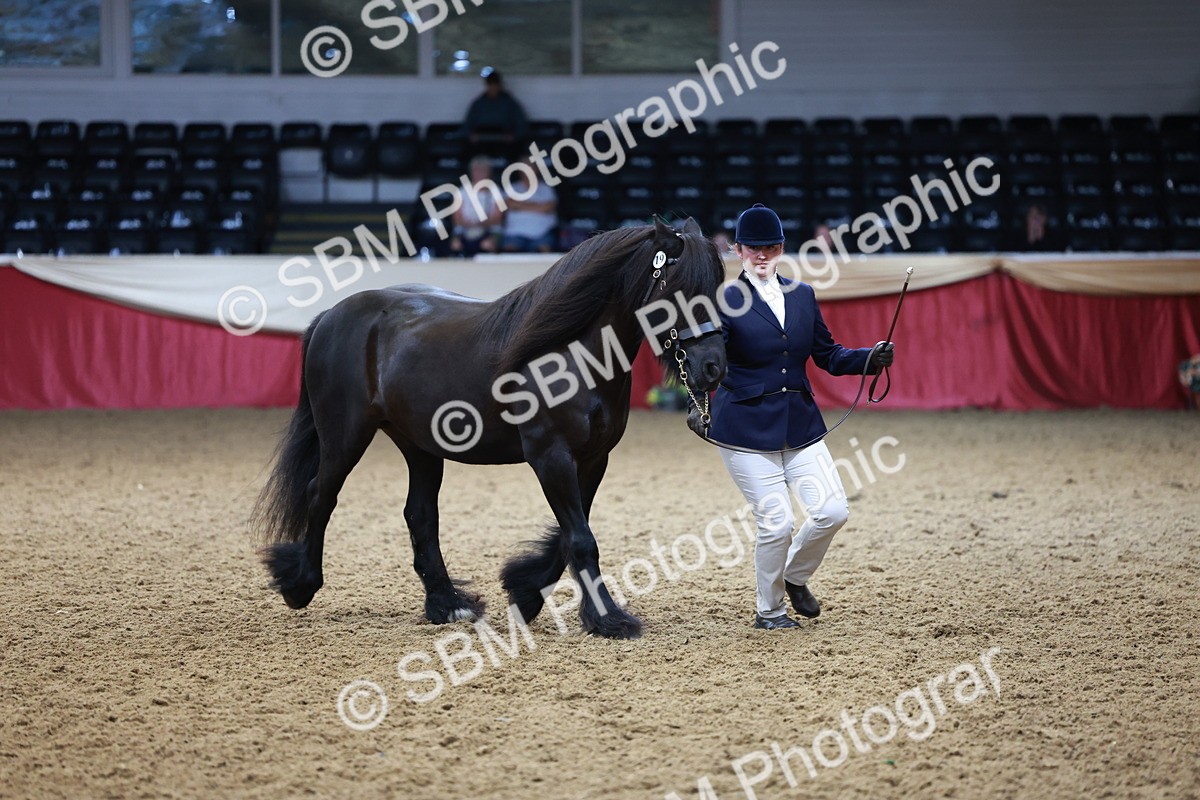 SBM_17358 - Class 951 - M&M IH Supreme Final