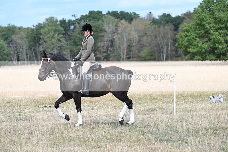 WJ7_5843 - Class 13 Ridden Veterans