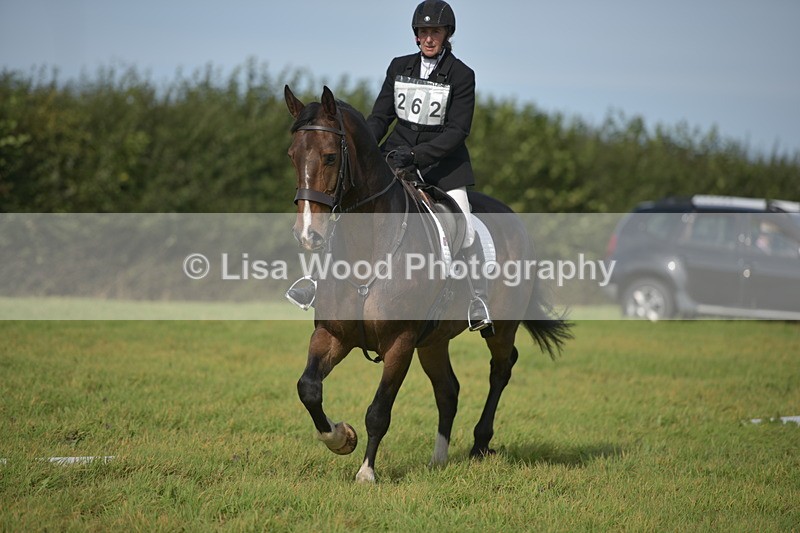 RAY_7934 - Class 2B: Trekenning Open: Dressage