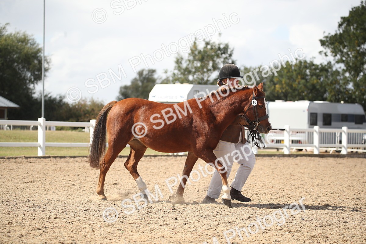 SBM_23111 - Class 606 - 2026 - Area - IH Pre Vet