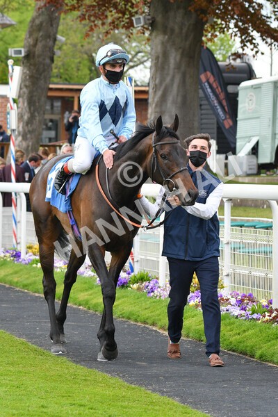 yr14052021r2-25 - Race 2 2.10pm Oak Farm Stables Fillies' Stakes (registered as the Michael Seely Memorial Stakes)