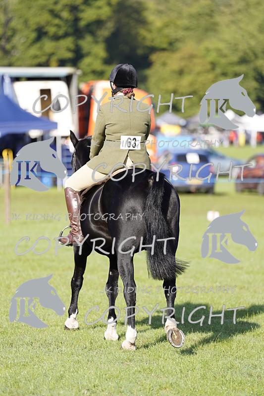 _DSC9442 - Class 8 & 17 Ridden Hunter & Ridden Hunter Pony
