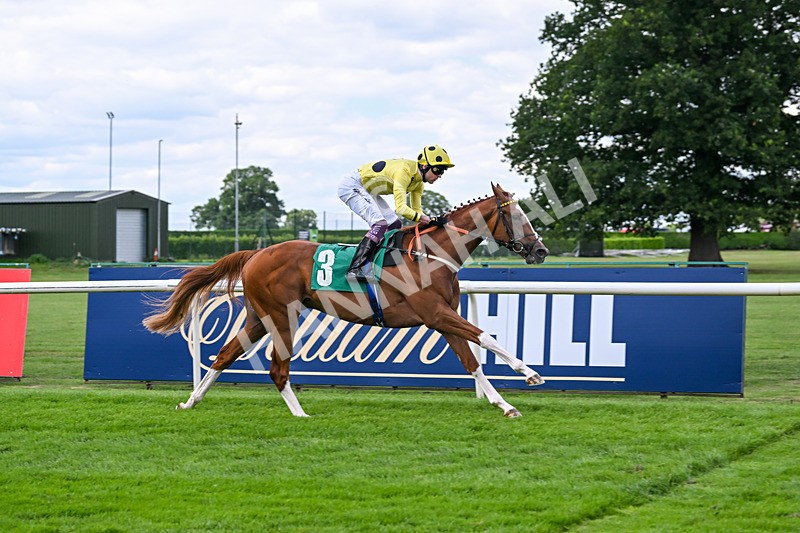 020825-Race 2-Zeus Olympios-2649 - Race 2