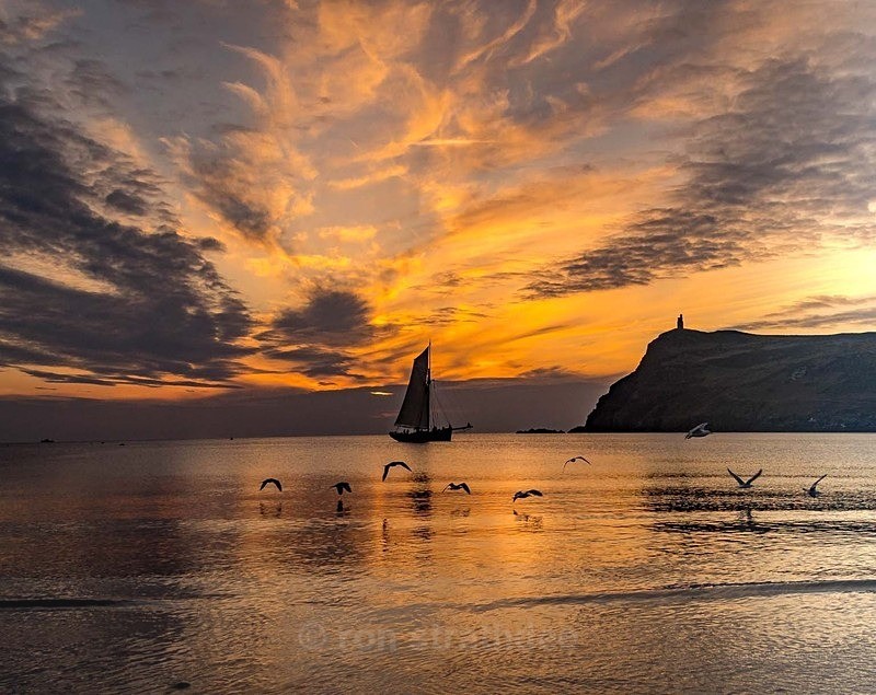 7L9A2319 - Sea of Man