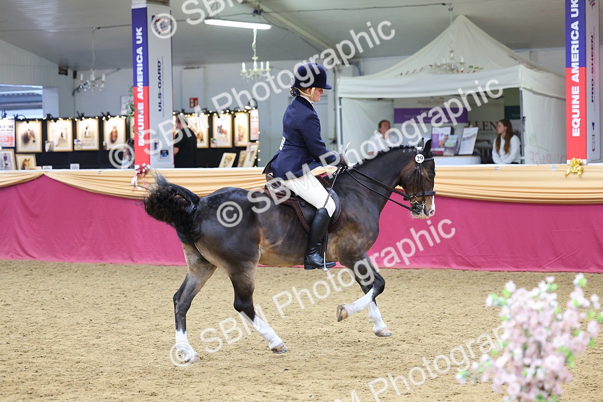 SBM_23657 - Class 904 - Supreme Final Ridden Diamond