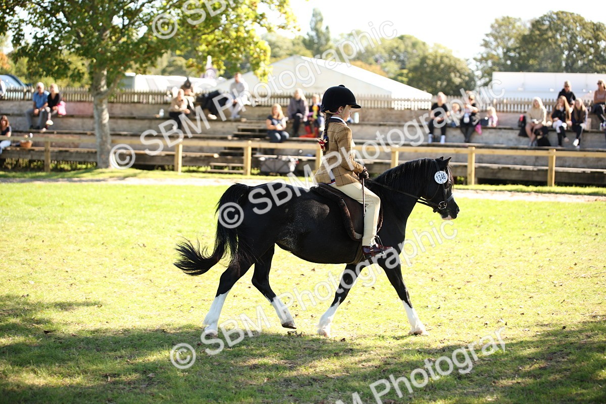 SBM_39003 - S11 - Best Ridden Horse & Pony