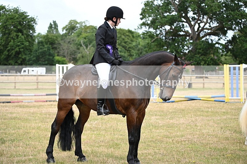 WJ6_4049 - Class 9 Tack & Turnout