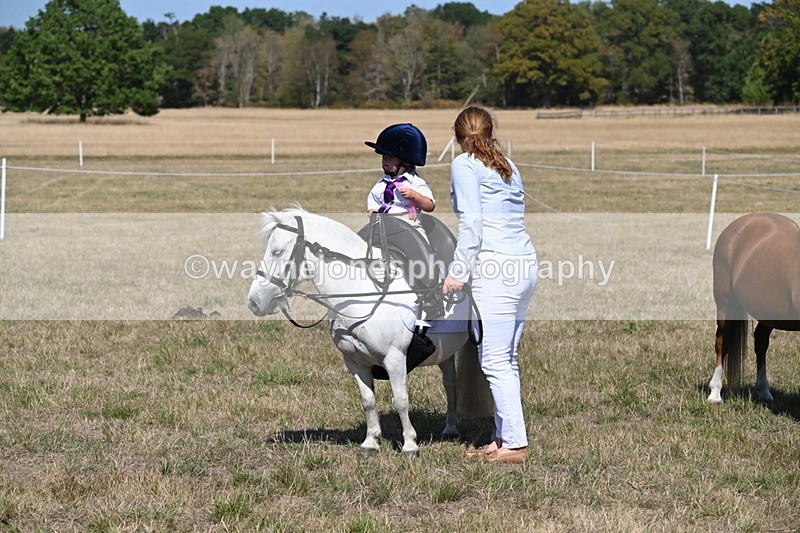 WJ6_9524 - Class 40 Cheekiest Pony/Horse