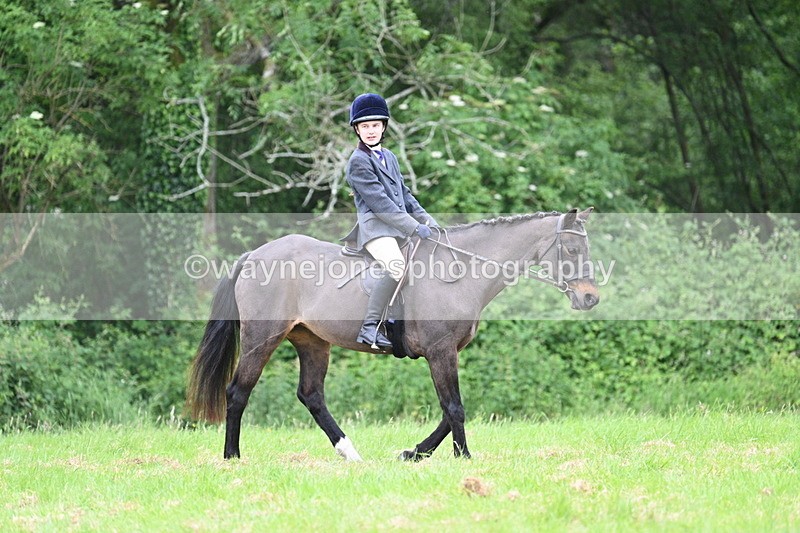 WJ7_4370 - Class 14B Prettiest Mare