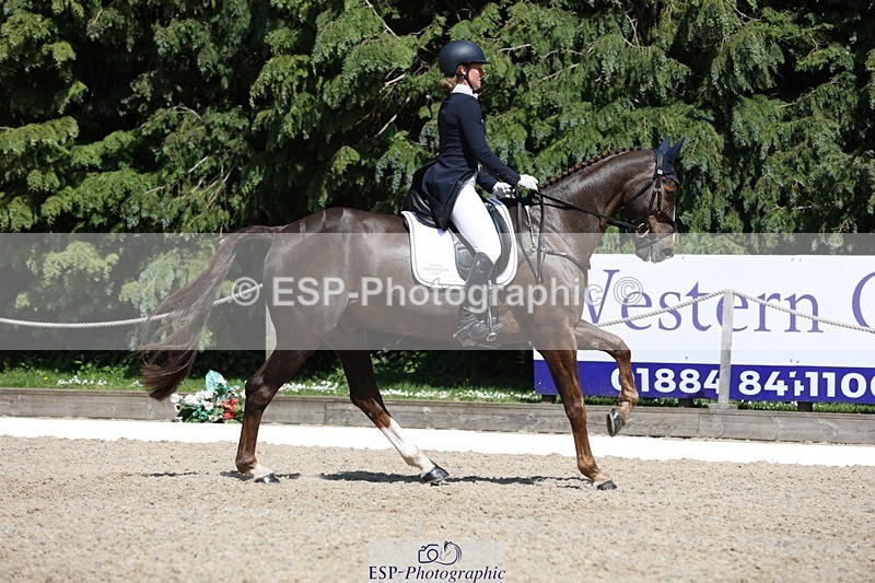 230526-145654-06590 - 376-DIRECT_BALLYTARSNA_DUCAREL-Jodie_Amos-WEDTrotUp+DR