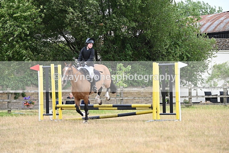 WJ6_0188 - Class 13 Novice Jumping 60cm