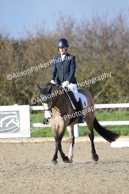 20260314-5858 - DR8 - Elementary 2