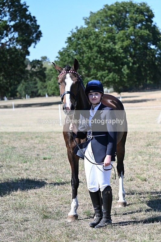 WJ7_1568 - Class 42 Most Handsome Gelding